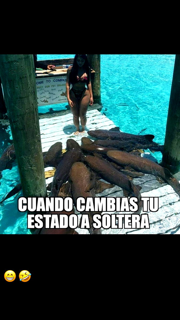 jailyneojeda jailyneojeda archive image