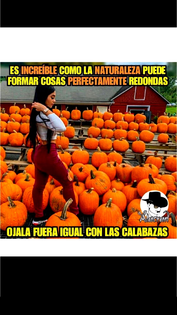 jailyneojeda jailyneojeda archive image
