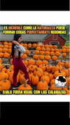 jailyneojeda Altpins Profile Picture