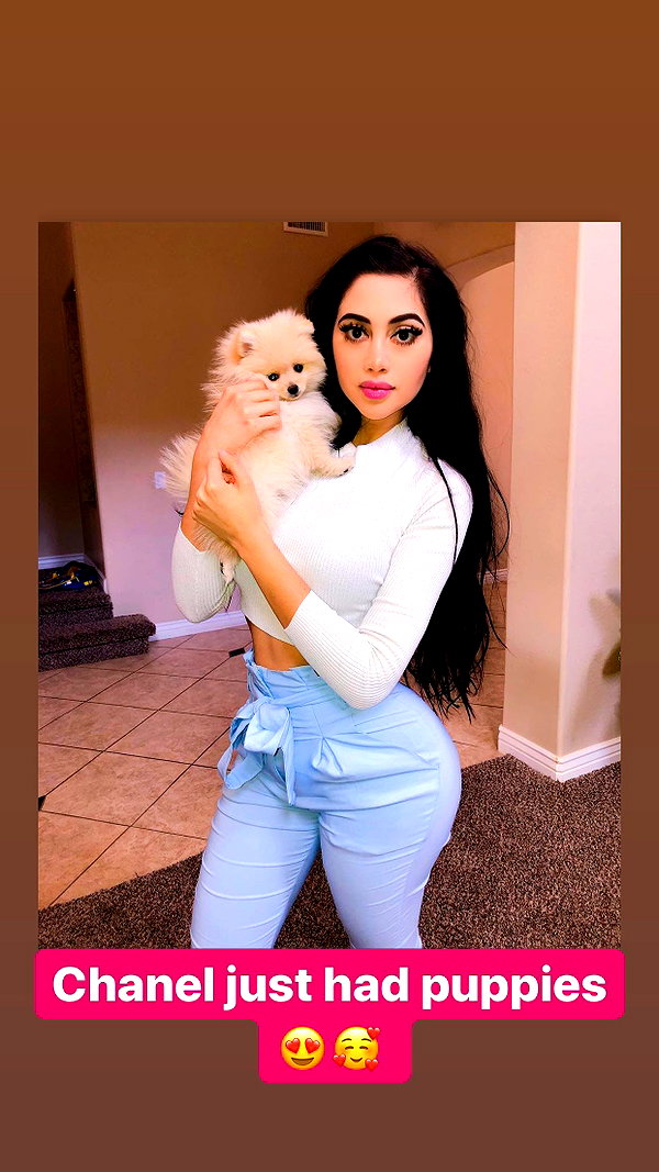 jailyneojeda instagram image archive image