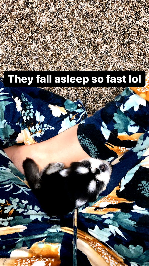 jailyneojeda instagram image archive image