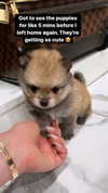 jailyneojeda Altpins Profile Picture
