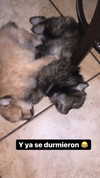 jailyneojeda Altpins Profile Picture