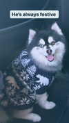 jailyneojeda Altpins Profile Picture