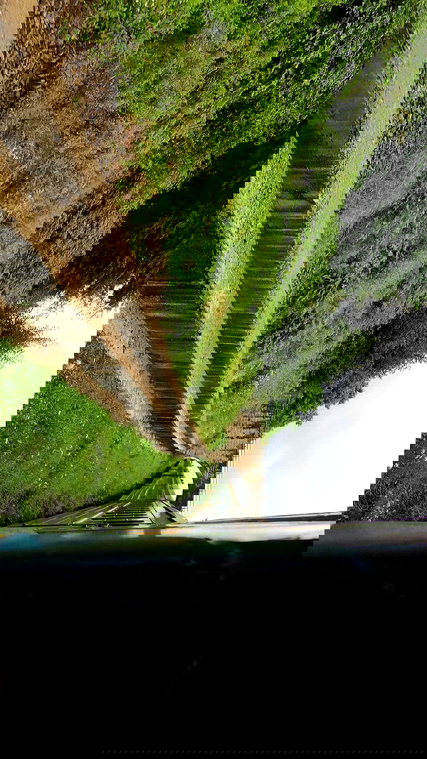 jaroslava_klavir jaroslava_klavir archive image