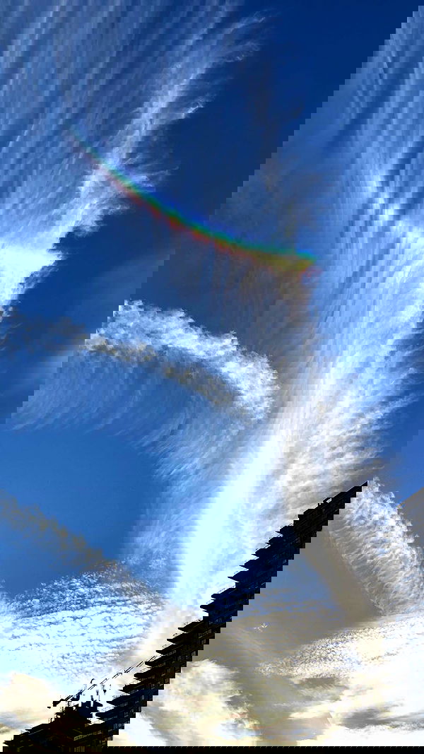 jaroslava_klavir jaroslava_klavir archive image