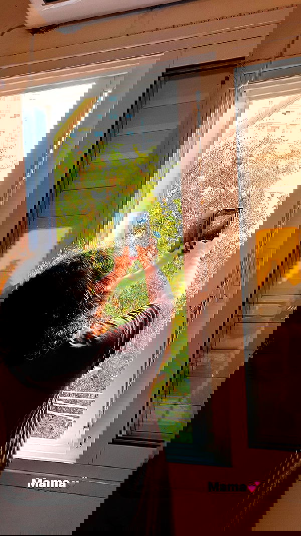 jaroslava_klavir jaroslava_klavir archive image