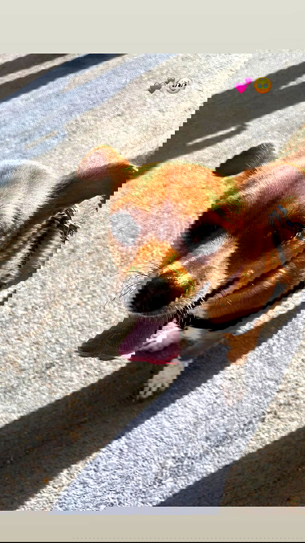 jaroslava_klavir jaroslava_klavir archive image