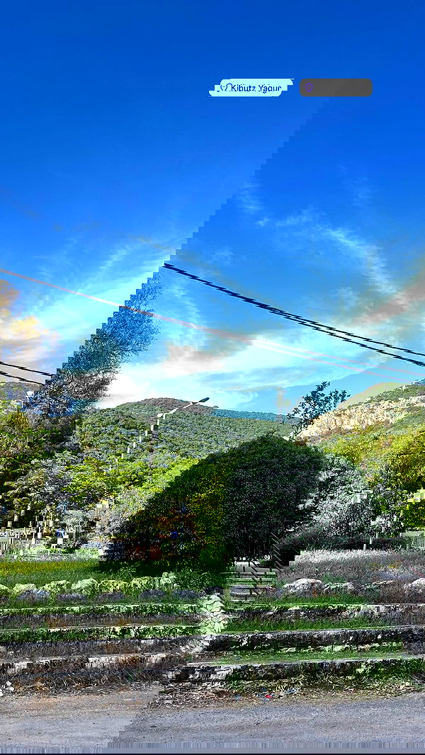 jaroslava_klavir jaroslava_klavir archive image