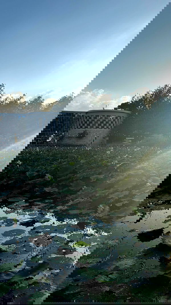 jaroslava_klavir jaroslava_klavir archive image