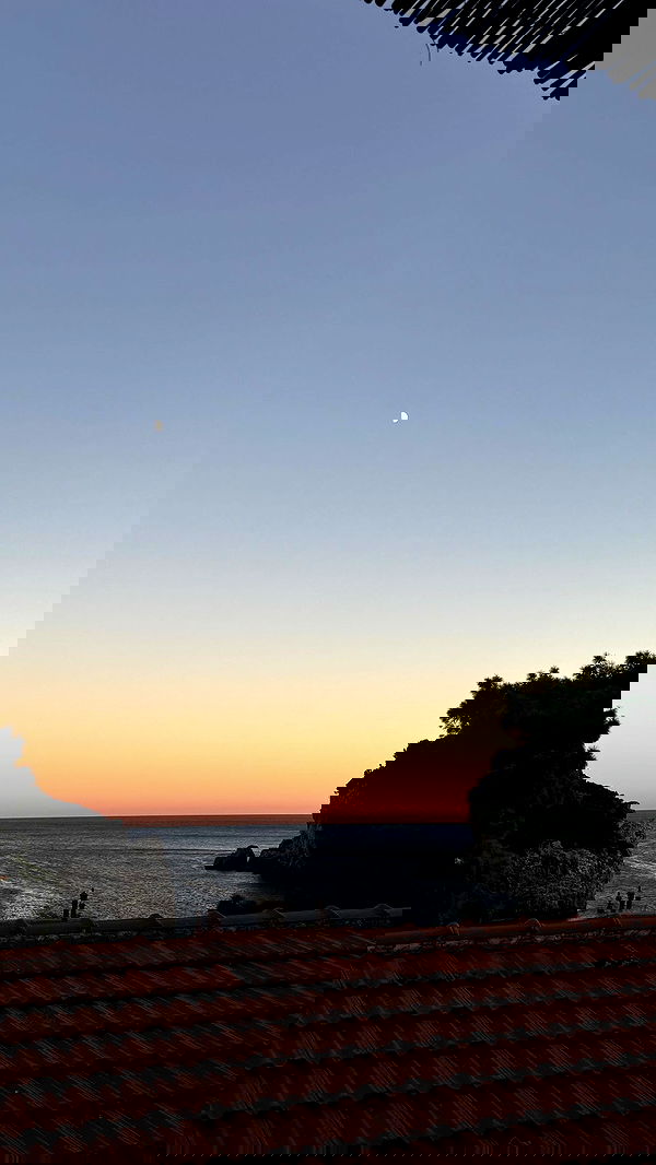 jaroslava_klavir jaroslava_klavir archive image