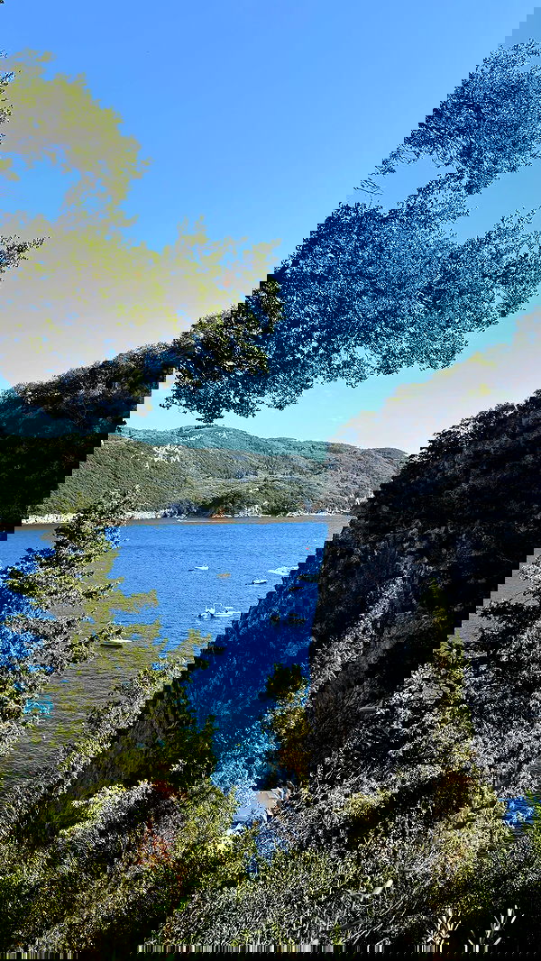 jaroslava_klavir jaroslava_klavir archive image