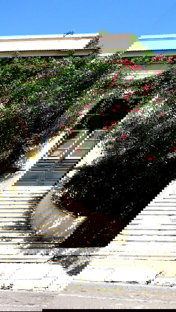 jaroslava_klavir jaroslava_klavir archive image