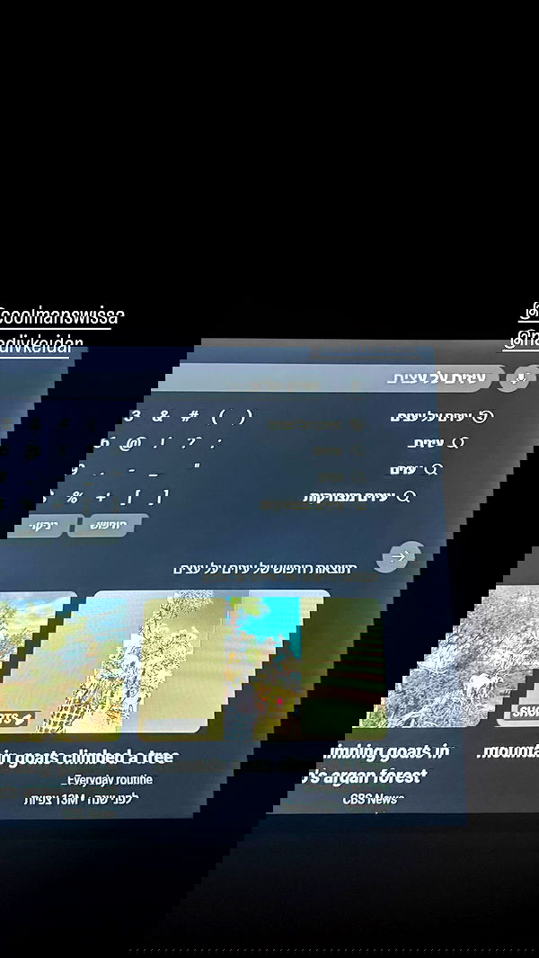 jaroslava_klavir jaroslava_klavir archive image