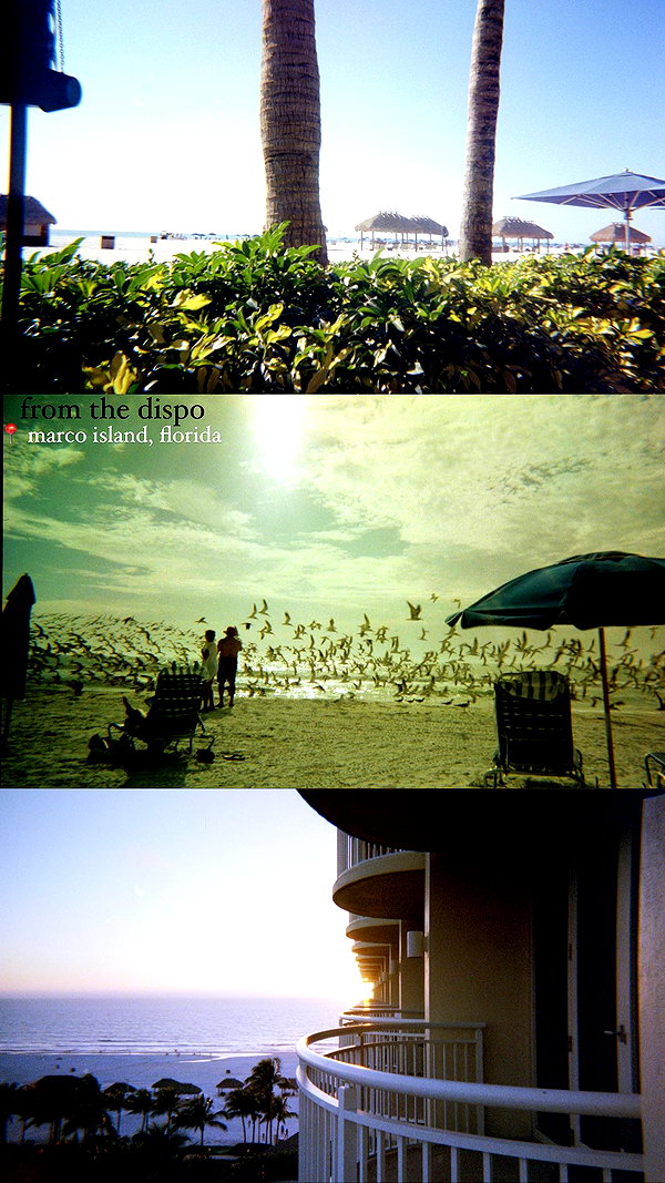 jaureab instagram image archive image