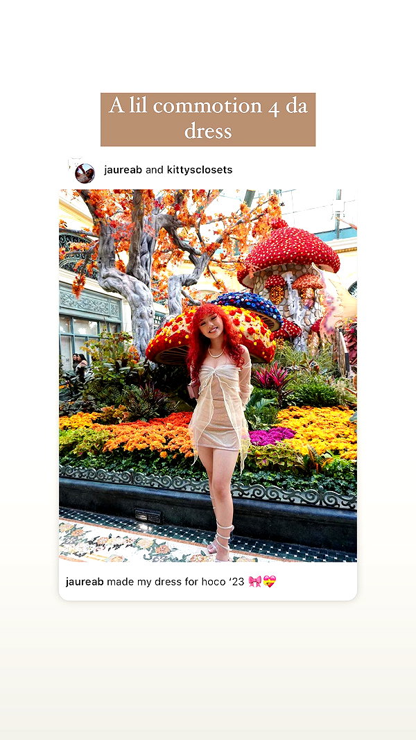 jaureab instagram image archive image