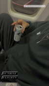 jayyymathis Altpins Profile Picture