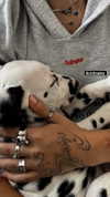 jayyymathis Altpins Profile Picture