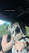 jayyymathis Altpins Profile Picture