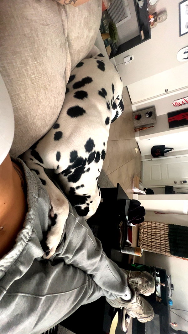 jayyymathis instagram image archive image