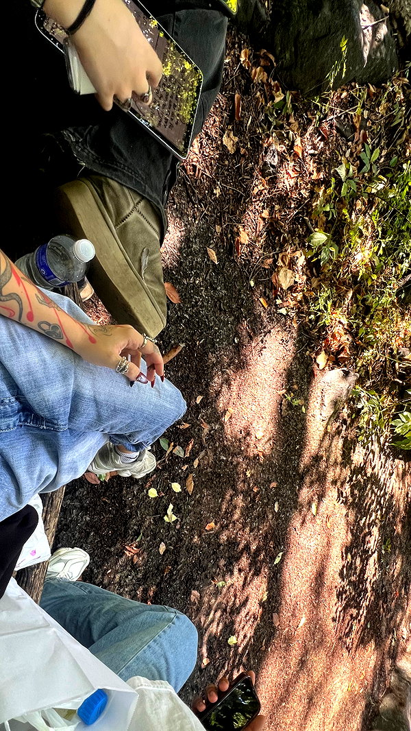 jayyymathis instagram image archive image
