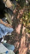 jayyymathis Altpins Profile Picture