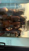 jaz.brice Altpins Profile Picture