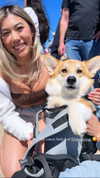 jenny.kaly Altpins Profile Picture