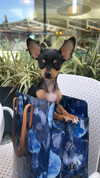 jenny.kaly Altpins Profile Picture