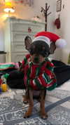 jenny.kaly Altpins Profile Picture