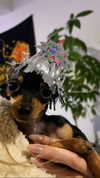 jenny.kaly Altpins Profile Picture
