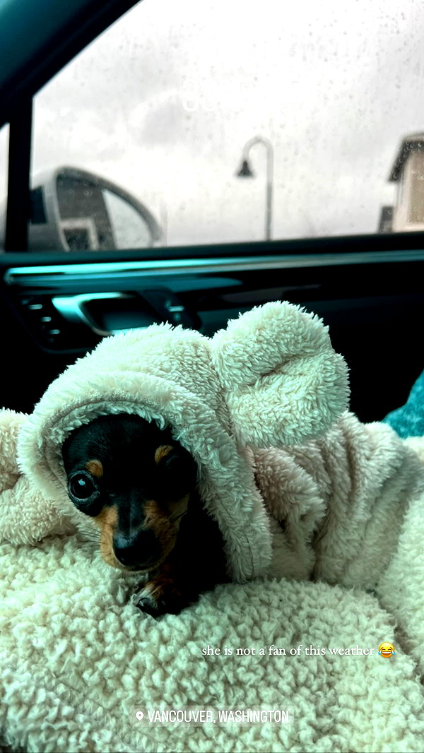 jenny.kaly instagram image archive image