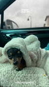 jenny.kaly Altpins Profile Picture