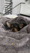 jenny.kaly Altpins Profile Picture