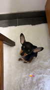 jenny.kaly Altpins Profile Picture