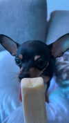 jenny.kaly Altpins Profile Picture