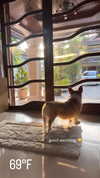 jenny.kaly Altpins Profile Picture