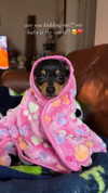 jenny.kaly Altpins Profile Picture