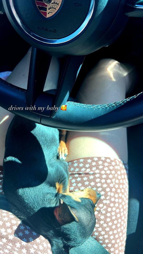 jenny.kaly instagram image archive image