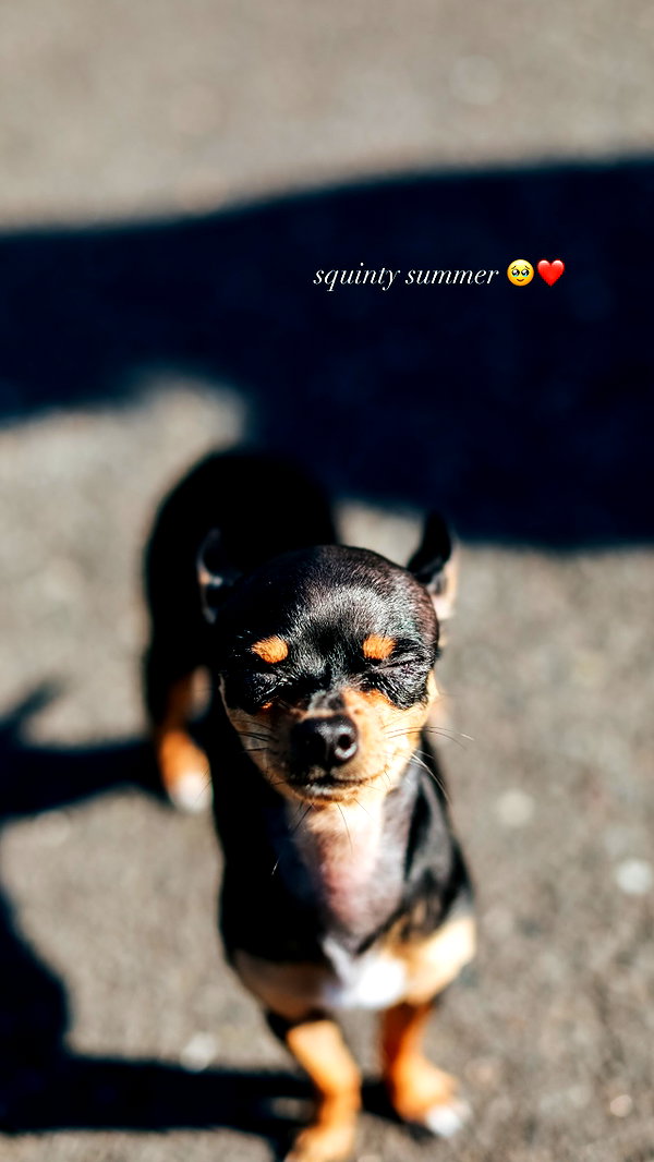 jenny.kaly instagram image archive image