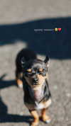 jenny.kaly Altpins Profile Picture