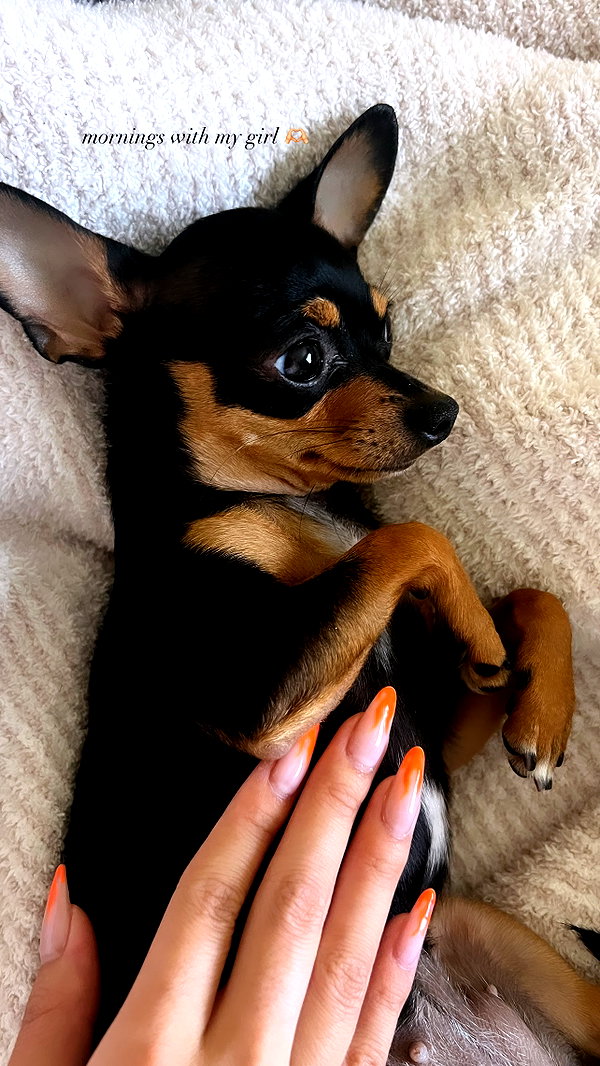 jenny.kaly instagram image archive image