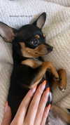 jenny.kaly Altpins Profile Picture