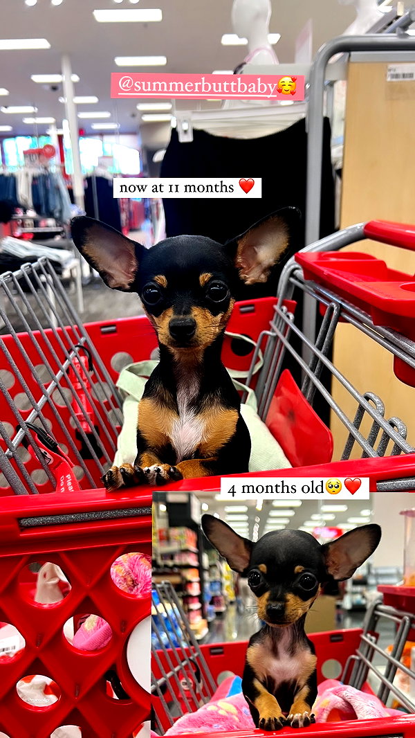 jenny.kaly instagram image archive image