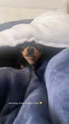 jenny.kaly Altpins Profile Picture
