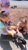 jenny.kaly Altpins Profile Picture