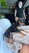 jenny.kaly Altpins Profile Picture
