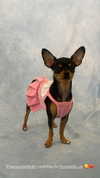 jenny.kaly Altpins Profile Picture