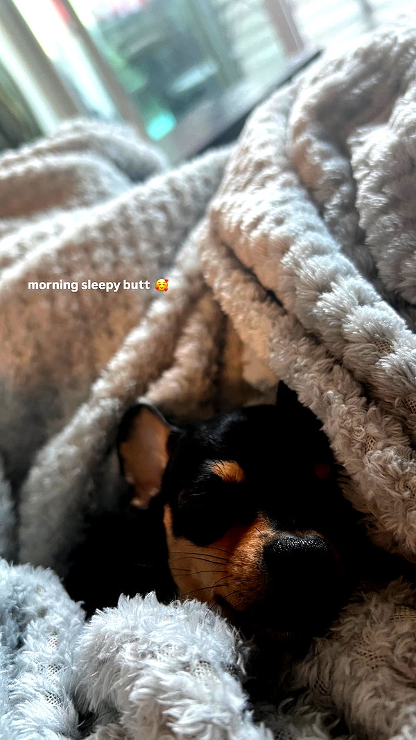 jenny.kaly instagram image archive image