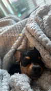 jenny.kaly Altpins Profile Picture